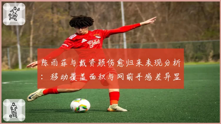 陈雨菲与戴资颖伤愈归来表现分析：移动覆盖面积与网前手感差异显著