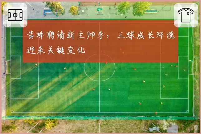 黄蜂聘请新主帅李，三球成长环境迎来关键变化