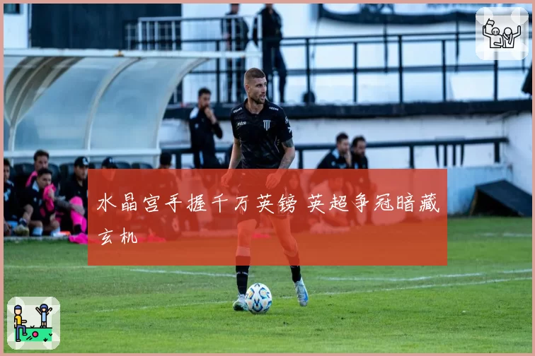 水晶宫手握千万英镑 英超争冠暗藏玄机