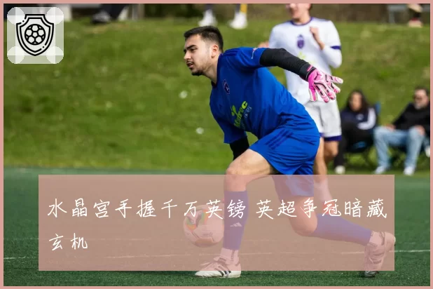 水晶宫手握千万英镑 英超争冠暗藏玄机