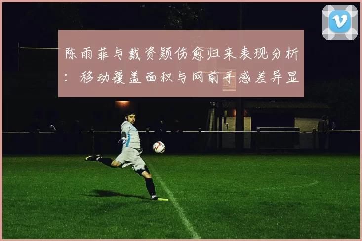 陈雨菲与戴资颖伤愈归来表现分析：移动覆盖面积与网前手感差异显著