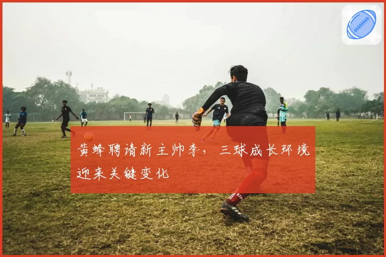 黄蜂聘请新主帅李，三球成长环境迎来关键变化